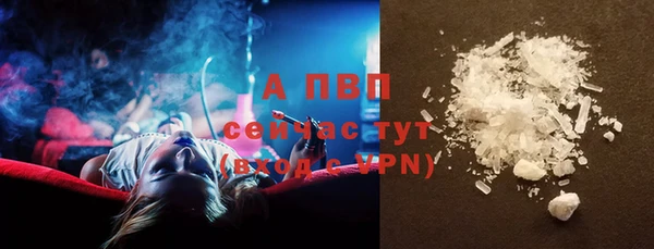 крисы Майский