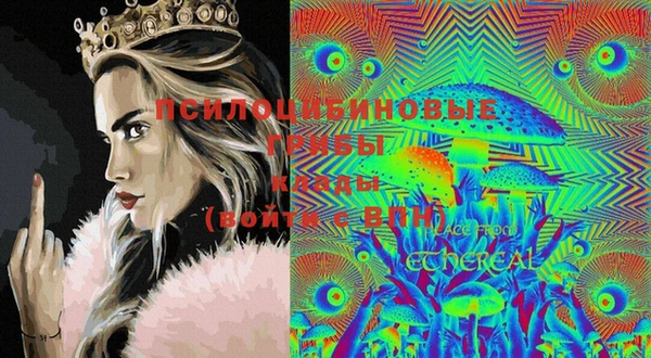 ECSTASY Лиски