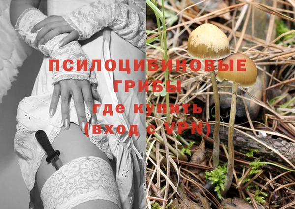 наркотики Магас