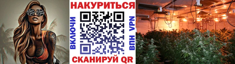 OMG ссылка  Любим  нарко площадка формула  Канабис план 
